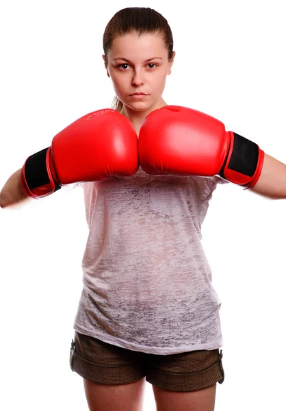 Een Jonge Sport Vrouw Boxer Vormt Camera Rode Bokshandschoenen Concentraten — Stockfoto