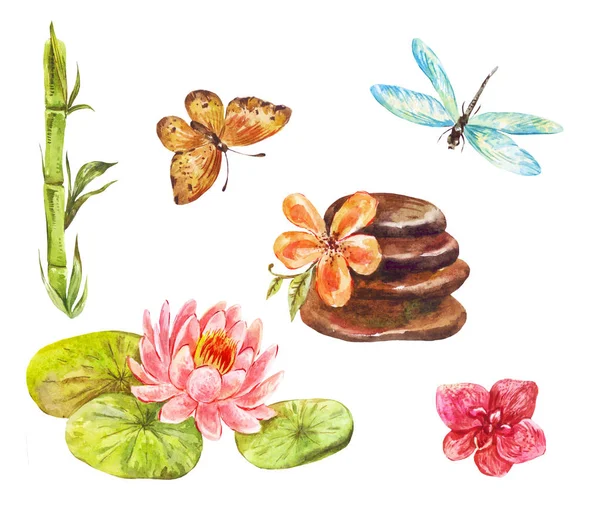 Feng Shui Symbole Aquarell Illustrationen Von Lotus Massagesteinen Bambus Orchidee — Stockfoto