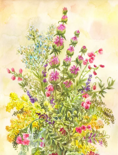 Aquarell Strauß Von Wildblumen Handgezeichnete Sommermalerei Für Poster Oder Postkarten — Stockfoto