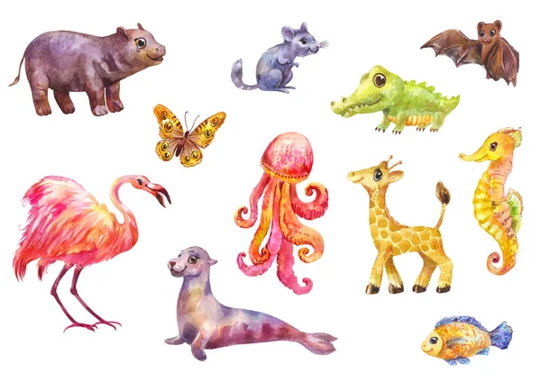 Funny animals, big watercolor set. Cute wild characters suitable