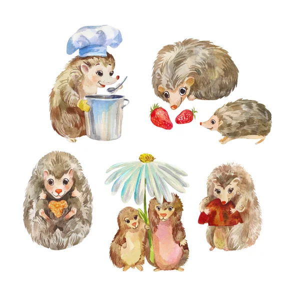 Roztomilý a legrační ježci. Kreslené zvířata, akvarel znaky — Stock fotografie