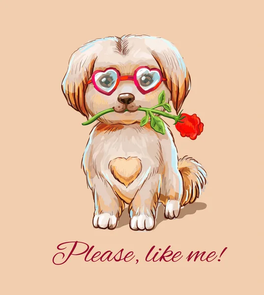 Grappige puppy in glazen - harten met met een rode roos in de teet — Stockvector