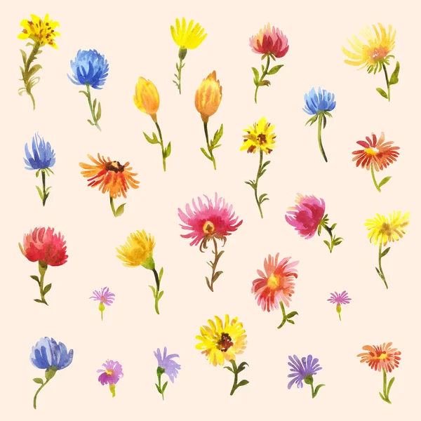 Set di colori pastello di daises acquerello o gerbere isolati su — Foto Stock