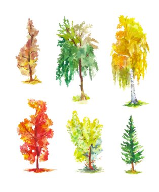 Watercolor autumn trees. Set of bright vector sketches of birch,