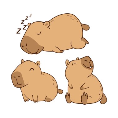 Sevimli Uyuyan ve Oturan Capybara Çizgi Filmi Çizimi