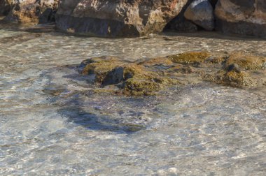 Dalga deniz cliff arka plan ile yosun taş