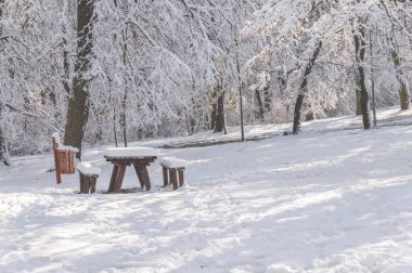 Ahşap masa ve tezgah ile kış sezonu ormandaki geri dönüşüm 