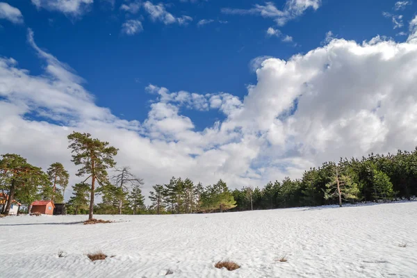 Çam Ağacı Bulutlu Gökyüzü Ile Kış Mevsimi Kar Dağı — Stok fotoğraf
