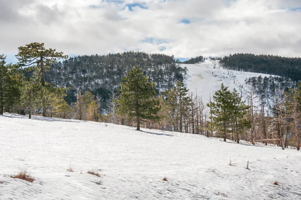 Divcibare Dağının Arka Planında Kayak Pisti Planda Kar — Stok fotoğraf