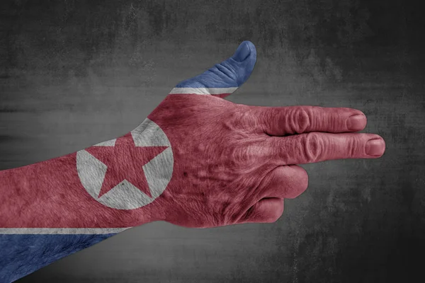 Bandeira Coreia Norte Pintada Mão Masculina Como Uma Arma — Fotografia de Stock