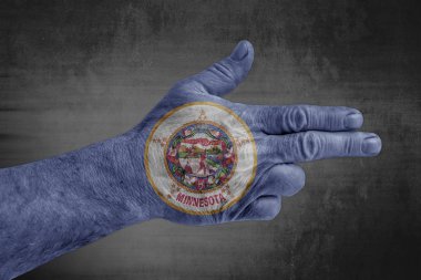 Bize Devlet Minnesota bayrağı erkek eli silah gibi boyanmış 