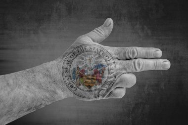 Bize erkek eli silah gibi boyanmış Arkansas mühür bayrak devlet 