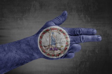 Bize silah gibi erkek yandan Virginia bayrağı boyalı devlet 