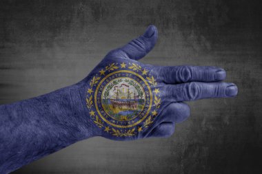Bize erkek eli silah gibi boyanmış New Hampshire bayrak devlet 