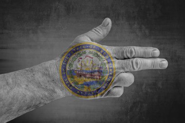 Bize erkek eli silah gibi boyanmış mühür New Hampshire bayrak devlet 