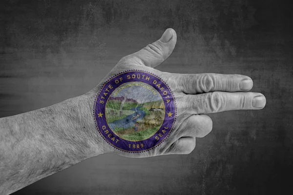 Ons Staat Vlag Van South Dakota Seal Geschilderd Mannenhand Als — Stockfoto