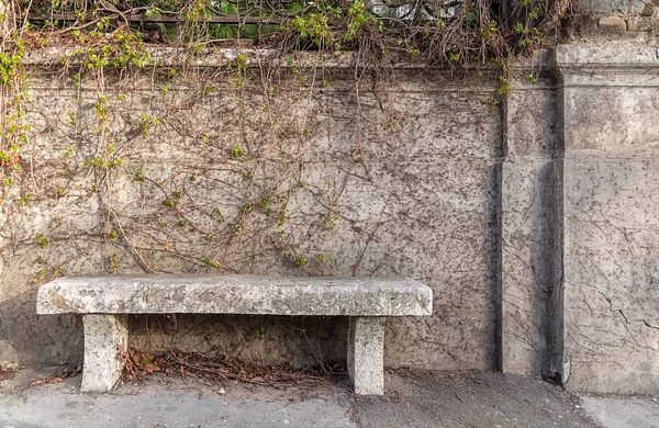 Große Betonbank Mit Zaun Betonmauer Mit Efeu Bedeckt — Stockfoto