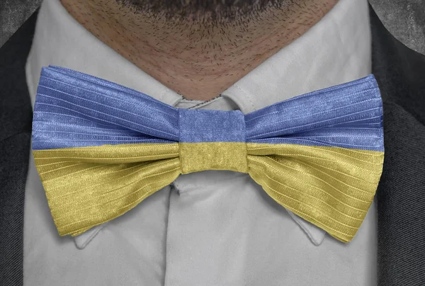 Bowtie 사업가에 우크라이나의 국기에 — 스톡 사진