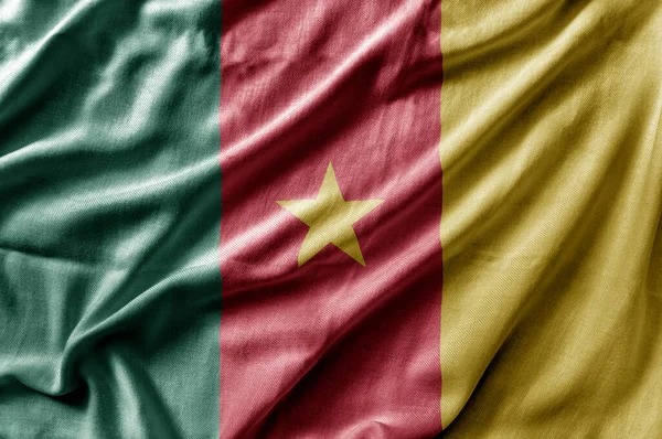 Waving Detailed National Country Flag Cameroon — Stockfoto