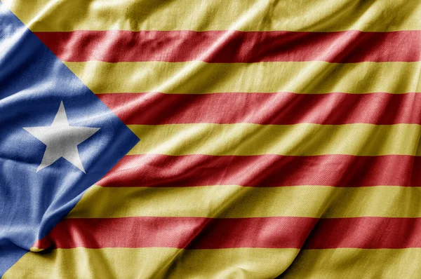Размахивая Детальным Национальным Флагом Каталонии — стоковое фото