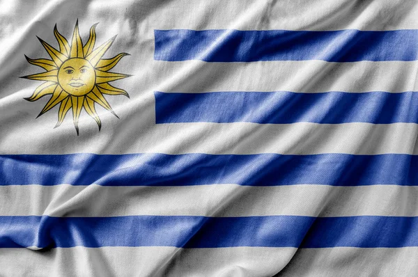 Κίνηση Λεπτομερούς Εθνικής Σημαίας Χώρας Της Ουρουγουάης — Φωτογραφία Αρχείου