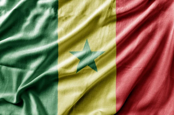 Κίνηση Λεπτομερούς Εθνικής Σημαίας Της Σενεγάλης — Φωτογραφία Αρχείου