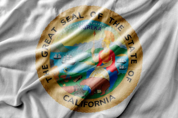Zwaaien Gedetailleerde Nationale Land Staat Vlag Van Californië Seal — Stockfoto