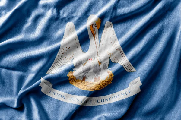 ルイジアナ州の詳細な全米州旗を振る — ストック写真