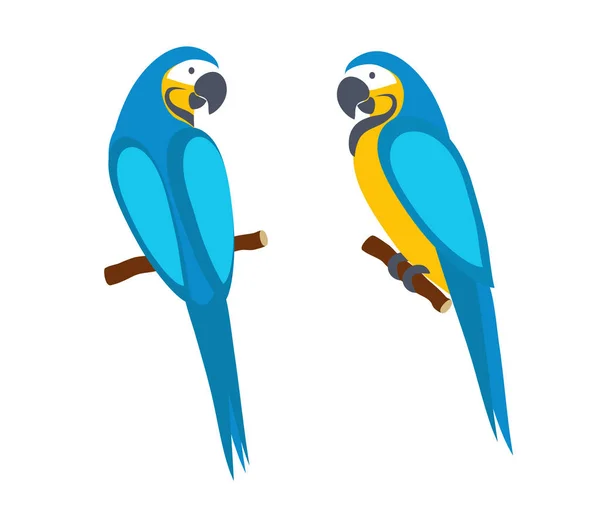 Papagaio Arara Vista Lateral Traseira Isolado Fundo Branco Pássaro Tropical — Vetor de Stock