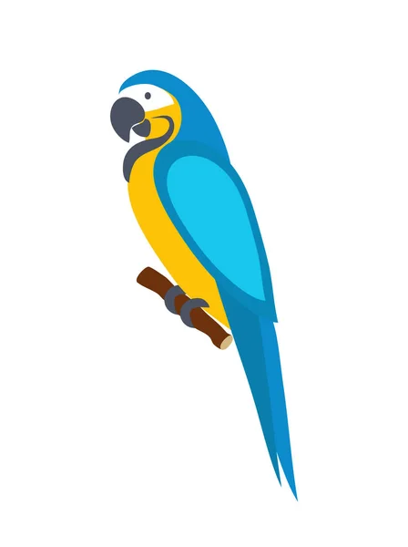 Loro Guacamayo Aislado Sobre Fondo Blanco Ilustración Vectorial — Archivo Imágenes Vectoriales