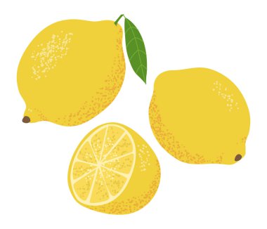 Dokulu limon seti. Beyaz bir arka planda izole edilmiş. Vektör illüstrasyonu.