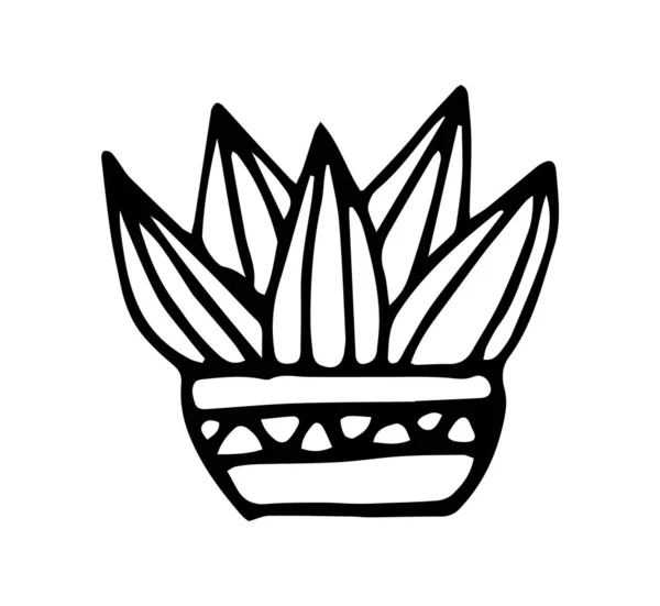 Kaktus Šťavnatá Rostlina Květináči Izolované Bílém Pozadí Černé Obrysy Ručně — Stockový vektor