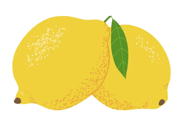白い背景に2つのレモンが隔離されています フラットデザイン ベクターイラスト — ストックベクタ