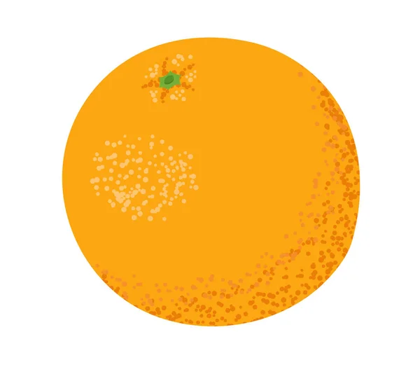 テクスチャリンドのオレンジフルーツ 白い背景に隔離されています ベクターイラスト — ストックベクタ