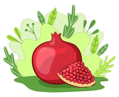 Yaprakların ve bitkilerin arka planında nar meyvesi. Çizgi film tarzı. Vektör illüstrasyonu.