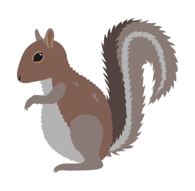 Sincap beyaz arka planda izole edilmiş. Yan görüş. Vektör illüstrasyonu.