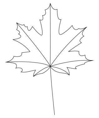 Akçaağaç yaprağı beyaz arkaplanda izole edilmiş. İnce çizgili sanat. Siyah özet. Vektör illüstrasyonu.