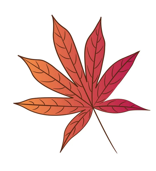 Bloodgood Japanese Maple Tree Leaf Isolated White Background Vector Illustration — Stock Vector