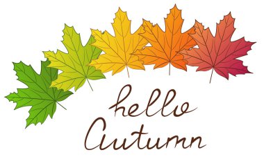 Merhaba sonbahar mesajı. Farklı renklerde akçaağaç yapraklarıyla süslenmiş pankart. Beyaz arka planda izole edilmiş nesneler. Vektör illüstrasyonu.