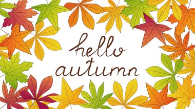 Beyaz arka planda sonbahar tabiri. El yazısıyla yazılmış bir metin. Pankart. Renkli yaprak çerçevesi. Vektör illüstrasyonu.