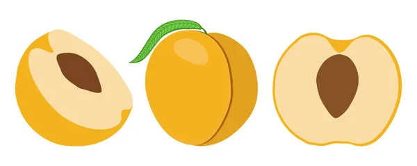 Pfirsich Aus Verschiedenen Blickwinkeln Ganze Und Halbierte Früchte Vereinzelt Auf — Stockvektor