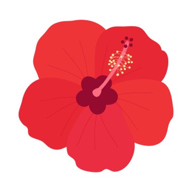 Kırmızı amber çiçeği. Beyaz arka planda izole edilmiş. Vektör illüstrasyonu.