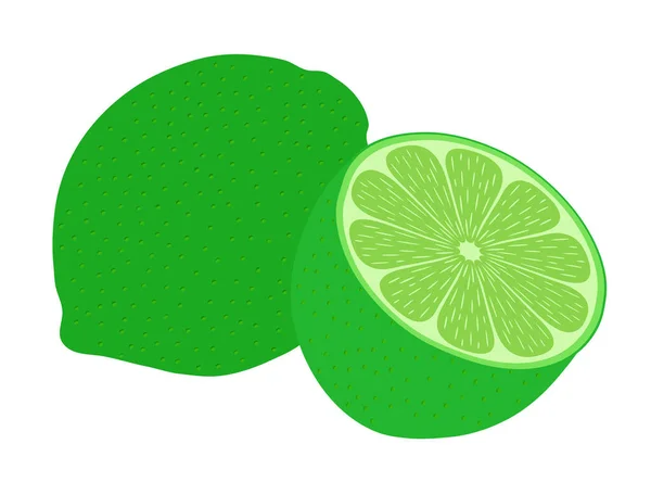 Lime Entière Coupée Deux Fruits Isolés Sur Fond Blanc Illustration — Image vectorielle