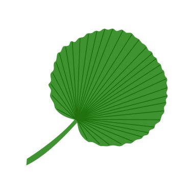 Palmiye yaprağı. Beyaz bir arka planda izole edilmiş. Vektör illüstrasyonu.