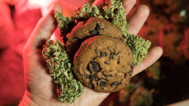  culinary products from marijuana. Baking cookies from cannabis close-up. clipart