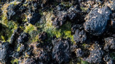 Volkanik plajlar ve resifleri Kanarya Adaları. İspanya'daki volkanik adalar.