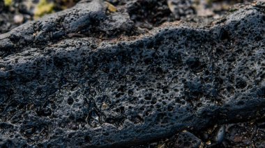 Volkanik plajlar ve resifleri Kanarya Adaları. İspanya'daki volkanik adalar.