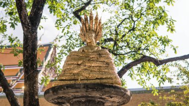 Tayland ve Vietnam yakın çekim Buda heykeli.