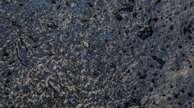 Volkanik plajlar ve resifleri Kanarya Adaları. İspanya'daki volkanik adalar.