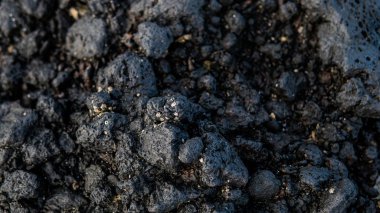  camadan sahilleri Kanarya Adaları. Lav kayalık dokusuna